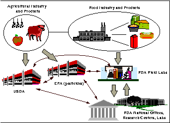 Figure 10: Federal Agencies Involved in Food Safety Activities