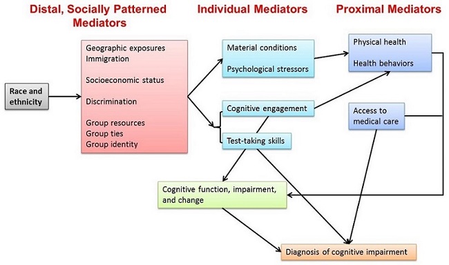 FIGURE 3, Direction Chart: Three Mediators--Distal, Socially Patterned; Individual; Proximal. Race/Ethnicity leads to (1) Geographic exposures, Immigration, Socioeconomic status, Discrimination, Group resources/ties/identify. (1) leads to (2) Material conditions, Psychological stressors; (3) Cognitive engagement; (4) Test-taking skills. (2) leads to (5) Physical health, Health behaviors. (3) leads to (5) and (6) Cognition function/impairment/change. (4) leads to (7) Diagnosis of cognitive impairment. (5) leads to (6). (6) leads to (7). (8) Access to medical care leads to (6) and (7).