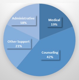 FIGURE 1, Pie Chart: Administrative (18%), Medical (19%), Counseling (42%), Other Support (21%).