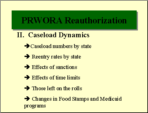 PRWORA Reauthorization Issues