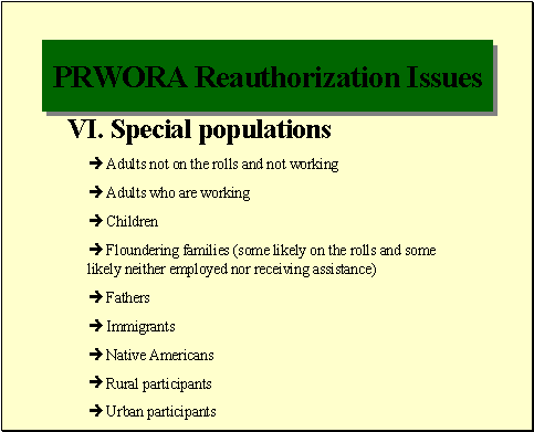 PRWORA Reauthorization Issues