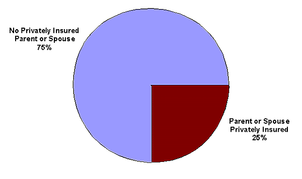Pie Chart